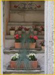Flowers in Niche